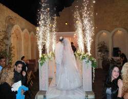 ���� ������� �����